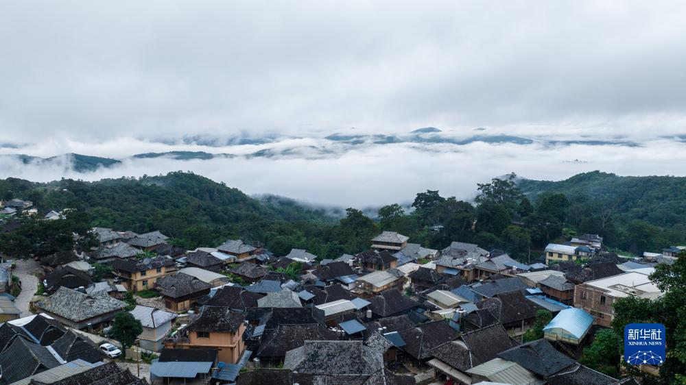 奥林集团会员登录